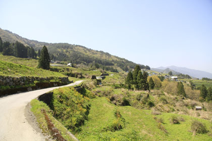 高知県東部の山の中の道